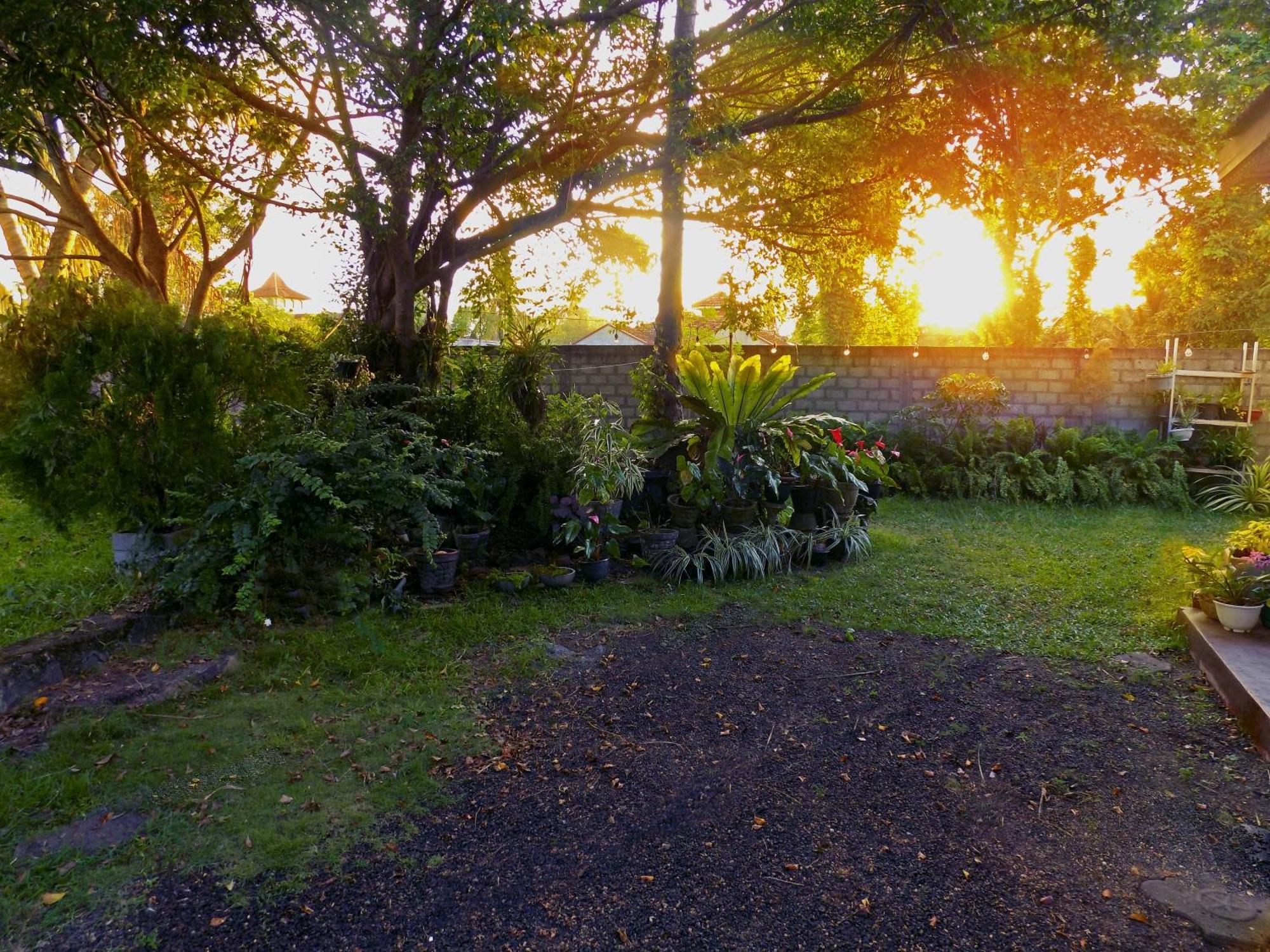 Coco Home Negombo Dış mekan fotoğraf