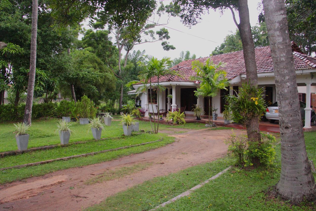 Coco Home Negombo Dış mekan fotoğraf