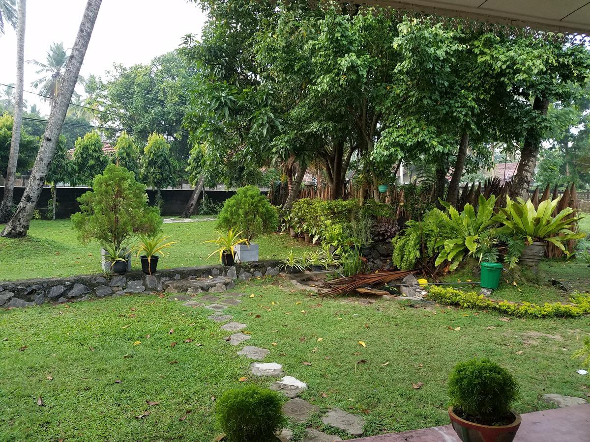 Coco Home Negombo Dış mekan fotoğraf